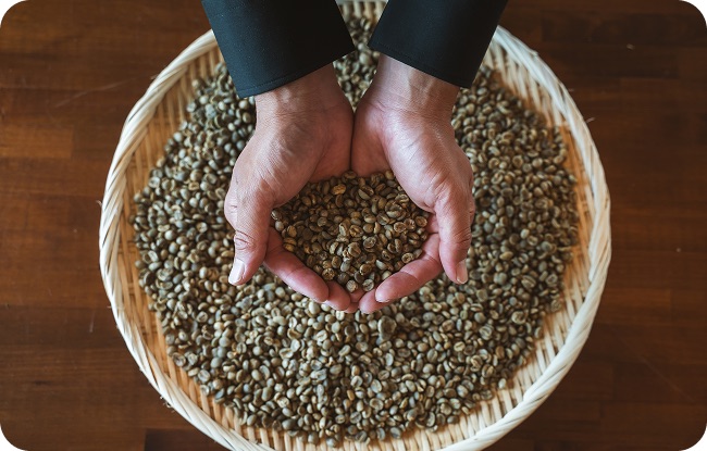 コーヒー豆を手ですくう